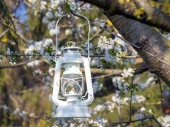 Feuerhand Baby Special 276 Pure White Stormlamp -Buiten Kamperen feuerhand stormlamp wit 3 ecommerce 5631